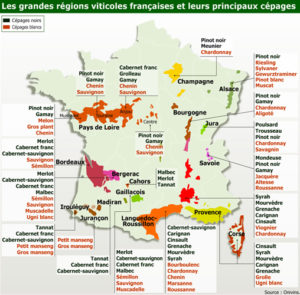 carte de france des cépages