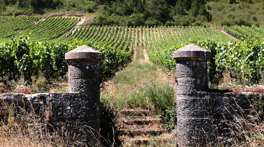 vignoble bourgogne