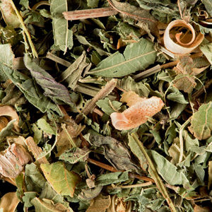 Tisane du Berger Dammann